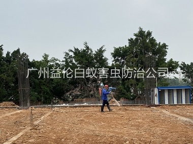 增城地基新建预防白蚁工程