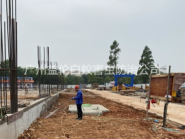 萝岗地基白蚁预防工程